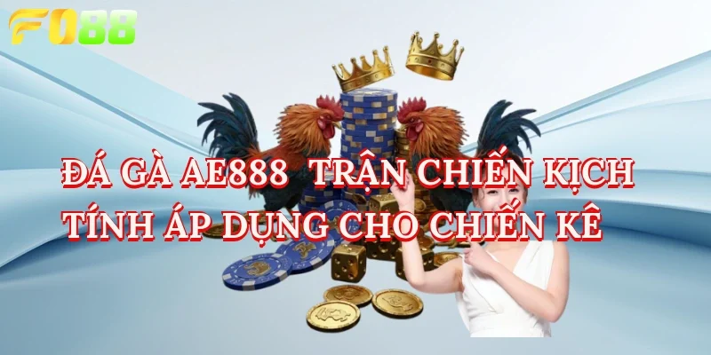 đá gà ae888